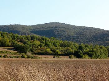 Tocht Te voet Monteriggioni - IT-105 - Photo