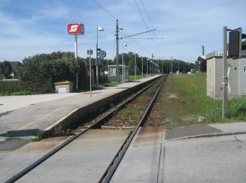 Percorso A piedi Gemeinde Allhartsberg - Naturbadweg - Photo