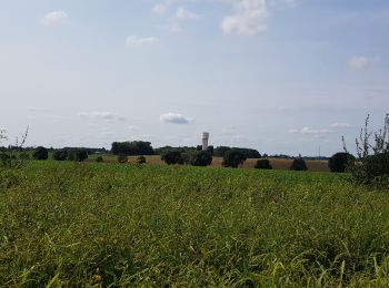 Trail Walking Waremme - Waremme - Rocourt  - Photo