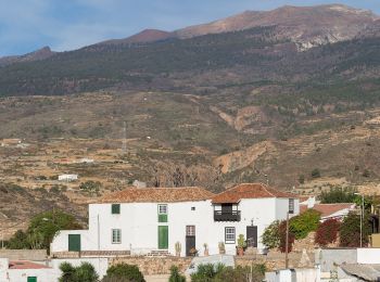 Excursión A pie Arico - Sendero El Porís - Arico Nuevo - Photo