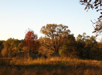 Tour Zu Fuß Ciurea - Bârnova - Poiana Schit - Photo