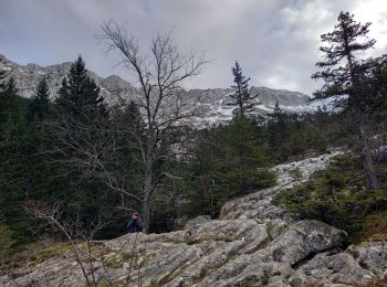 Excursión Senderismo Villard-de-Lans - Le lac du clos du prey - Photo