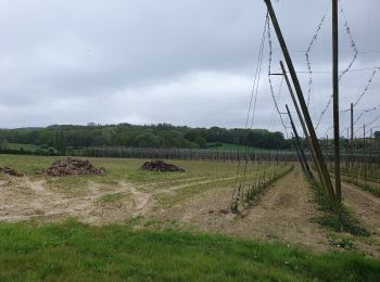 Tocht Stappen Berten - mont noir  - Photo