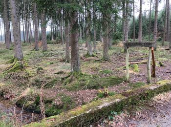 Tocht Te voet Roetgen - Kall-Rur-Panorama-Route - Photo