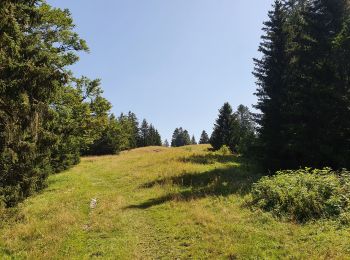 Tour Wandern Septmoncel les Molunes - Septmoncel - Le sentier des chamois  - Photo