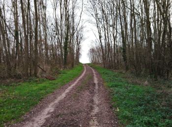 Tour Wandern Saint-Georges-sur-Cher - Saint-Georges-sur-Cher - Vallée Pitrou et Moulins - 6.9km 65m 1h35 - 2023 12 27 - Photo