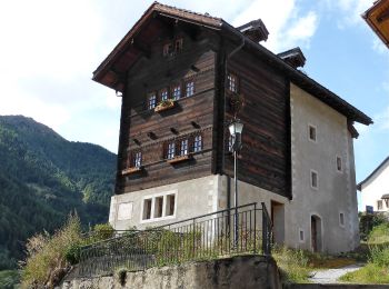 Percorso A piedi Anniviers - Grand Bisse de St-Jean - Photo