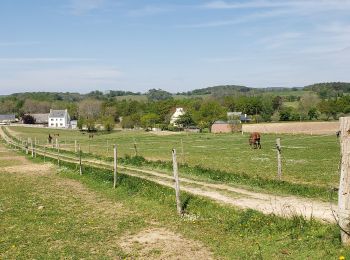 Tocht Stappen Le Juch - Le juc h pres kerlaz - Photo