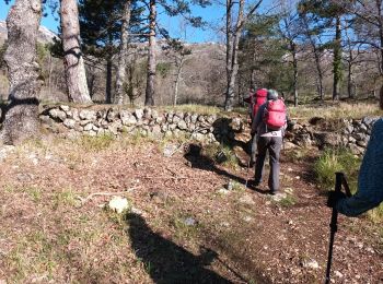 Tocht Stappen Saint-Vallier-de-Thiey - montagne de Thiey-forêt de Nans-19-04-23 - Photo