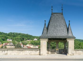 Tour Zu Fuß Naumburg (Saale) - Himmelreichweg alias Geopfad - Photo