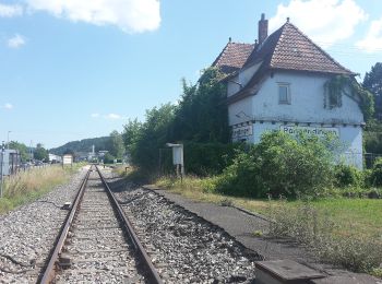 Excursión A pie Hechingen - Rangedingen Umgebung - Photo