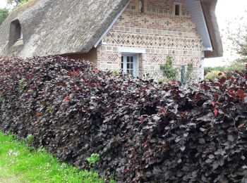 Randonnée Marche Ermenouville - Ermenouville . Château de Mesnil-Geoffroy - Photo