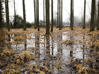 Trail On foot Erpe-Mere - Den Dotter rood - Photo