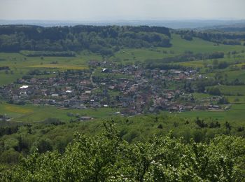 Tour Zu Fuß Kalbach - Extratour Haubentour - Photo