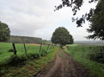 Tocht Stappen Huldenberg - #191230a - Ottenburg, Rondebos & St Agatha-Rodebos - Photo