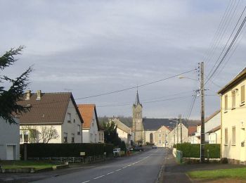 Randonnée A pied Hoste - Circuit de Guten Brunnen - Photo