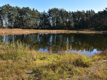 Tour Zu Fuß Beringen - Koersels Kapelleke Groene rechthoek - Photo