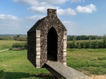 Tocht Stappen Heers - Greenspot Mettekoven - grand cru landschap (oranje) - Photo