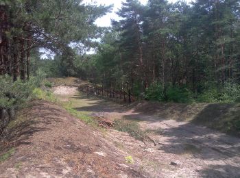 Tocht Te voet  - Szlak Dawnej Pustyni Sterczykowskiej - Photo