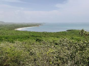 Tocht Stappen Le Vauclin - Boucle Macabou via Morne Etoile - Photo