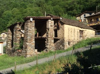 Randonnée A pied Monteceneri - Isone-Gola di Lago - Photo