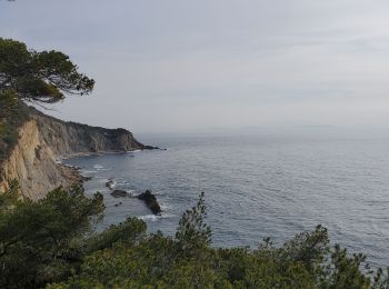 Tour Wandern Ensuès-la-Redonne - laRedonne le grand Méjan - Photo