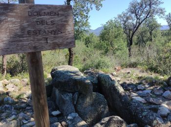 Trail Walking la Jonquera - CIRCUIT DES MÉGALITHES depuis EL FOGON - Photo