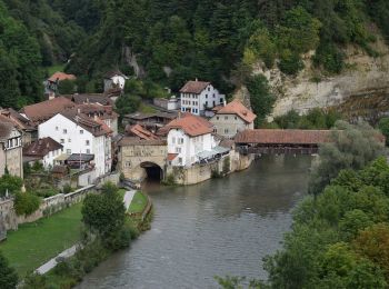 Tocht Te voet Fribourg - Freiburg - Freiburg / Fribourg Balm / La Palme - Maggenberg - Photo