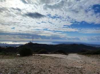 Excursión Bici de montaña Simiane-Collongue - antenne - Photo