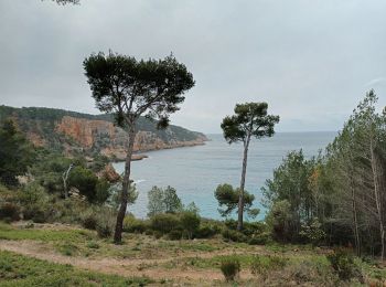 Trail Walking Saint-Cyr-sur-Mer - Dune de sable-St Cyr sur Mer-11-03-22 - Photo