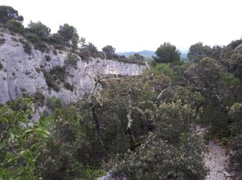 Trail Walking Gordes - ravin de la veroncle - Photo