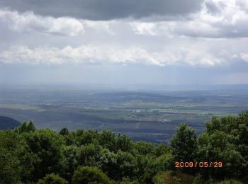 Randonnée A pied Esztergom - Z3 (Orosdy-rét - Pilis-tető - Két-bükkfa-nyereg) - Photo