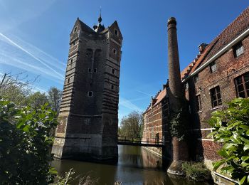 Excursión Senderismo Rotselaar - abenowandeling - Photo