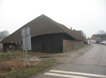 Excursión A pie Gilze en Rijen - Ommetje Leemkuilen - Photo