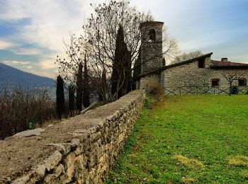 Randonnée A pied Ome - Sentiero dei funghi - Photo