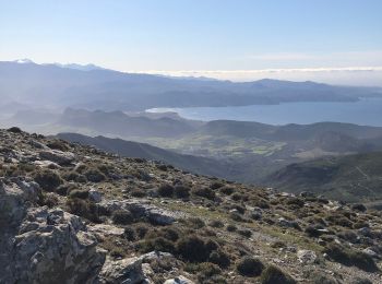 Tocht Stappen Bastia - Cardo - Photo