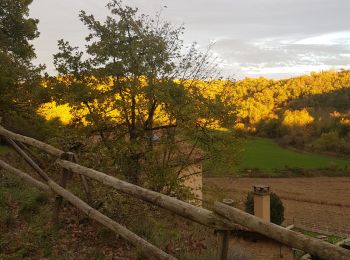 Tour Wandern Peyrins - Montgrenier - Photo