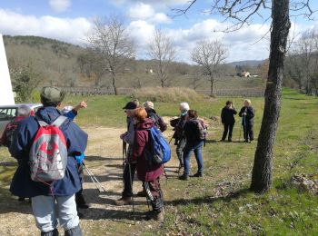 Percorso Marcia Caillac - caillac - Photo