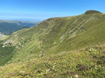 Excursión Senderismo Pailherols - Pailherols  route de la montagne, plomb du Cantal - Photo