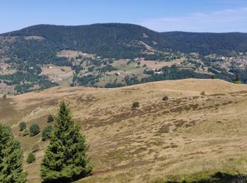 Tocht Stappen Storckensohn - 2022-07-16 Marche Auberge Gazon Vert Chapelle des Ves - Photo