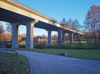 Randonnée A pied Wörth am Main - Rundwanderweg Wörth Bocksberg 3: Habrichs-Weg - Photo