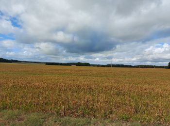 Tocht Stappen Anjouin - anjouin - Photo