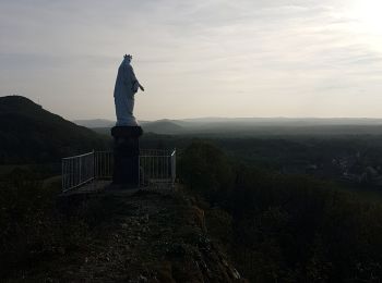 Tocht Stappen Hauteroche - Mirebel avec Taïga - Photo