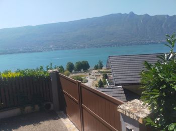 Tocht Stappen Aix-les-Bains - tresserve - Photo