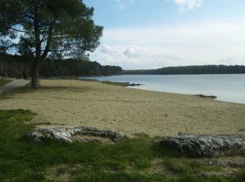 Tocht Te voet Iffendic - Lac et landiers de Trémelin - Photo