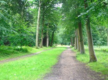 Trail On foot  - Cliveden green walking trail - Photo