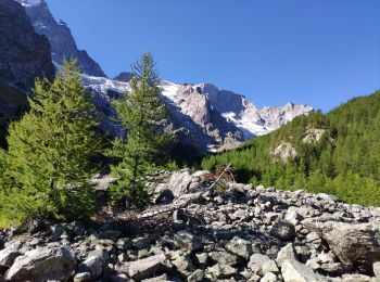 Randonnée Marche La Grave - Oisans 2020 : AR La Grave - lac de Puy Vachier - Col des Ruillans (glacier de Girose).ori - Photo