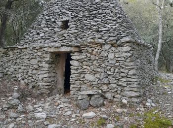 Tour Wandern Saint-Saturnin-lès-Apt - planessard 2 - Photo