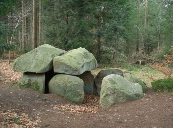 Randonnée A pied Bülstedt - Nordpfad Kempowskis Idylle - Photo