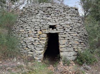 Randonnée Marche Venasque - Venasque/ combe de vaulongue - Photo